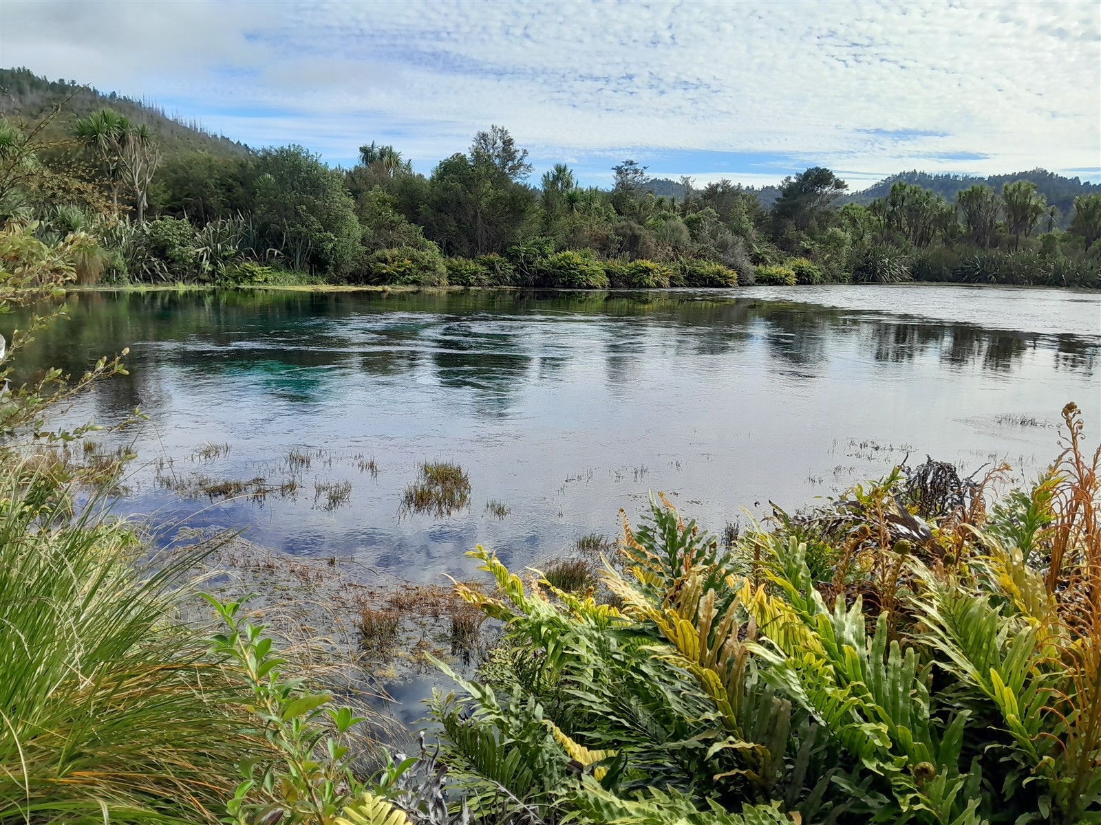 Near Takaka ~ Thursday, 5 March